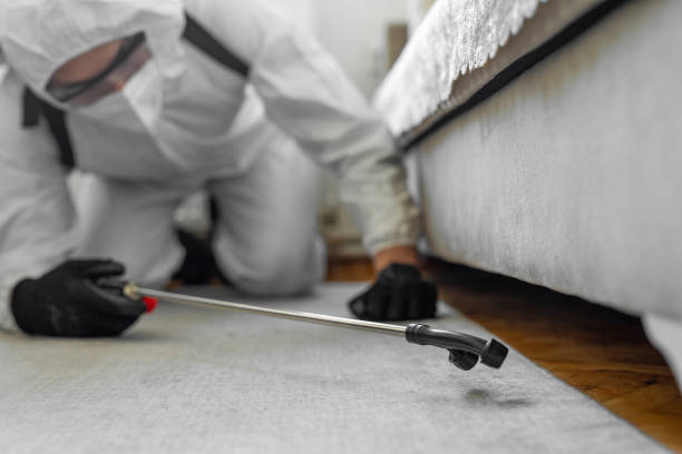 Professional Cockroach Control technician working in Laflin, PA