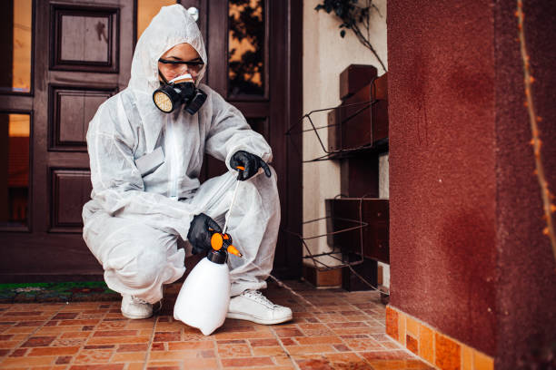 Reliable Cockroach Control contractor in Laflin, PA by Nex Pest Control